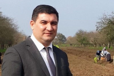 Masallı RİH başçısının I müavini vəzifəsindən azad olunub