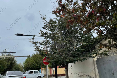 Lənkəran: bu küçədə işıqfor 10 gündən çoxdur ki işləmir