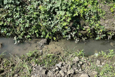 Lənkəran: təmir üçün qazılan yol bərpa olunub