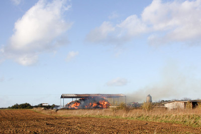 Masallı: Yeni Zuvand kəndində tövlə yanıb