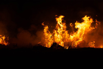 Lənkəran sakininin yarım tona yaxın ot bağlaması yanıb