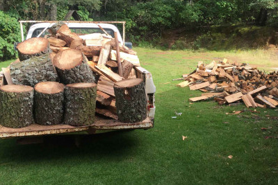 Cənub zonasında oduncaq tədarükü davam edir