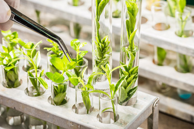 “Lənkəran Çay-5” ASC-nin sahibləri dəyişir