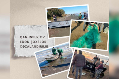 Qanunsuz ovla məşğul olan brakonyerlər saxlanılıb