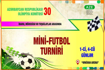 Masallıda təşkilatlar arasında minifutbol turniri keçirilir