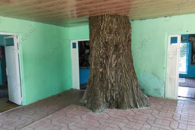 Masallı Sənaye Məhəlləsində təlimlər keçirilib