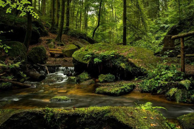 “Böyük həyat” anlamını daşıyan müalicəvi su: Alaşa bulaqları