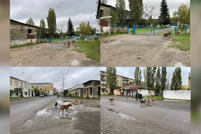 Lənkəran sakinləri hər gün təhlükə ilə üz-üzədirlər