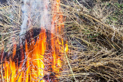 Masallı: Birinci Yeddioymaq kəndində yanğın baş verib