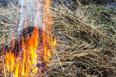 Cəlilabad: fermada yanğın baş verib