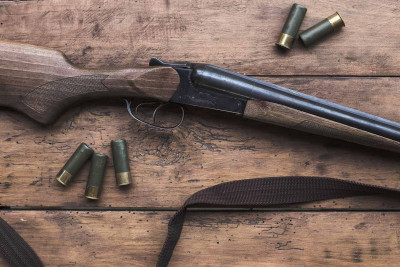 Astara: polis əməkdaşları qanunsuz silahsaxlama faktı aşkar ediblər