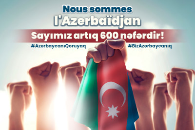 Düşmənimizi 1 səs ilə məğlub edək: sən də Fransa Senatının sanksiyalarına qarşı səsverməyə qoşul