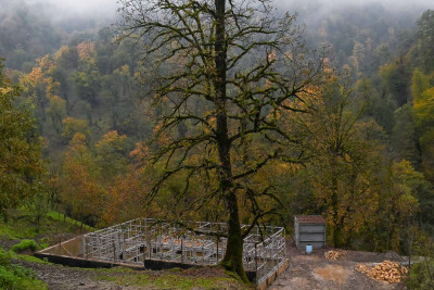 Astara rayonunun ucqar kəndində məktəbin inşasına başlanılıb