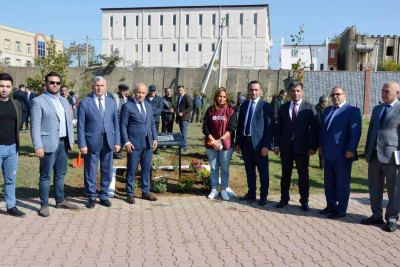 Masallıda ağacəkmə aksiyası keçirilib