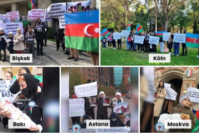 Bir sıra ölkələrdə petisiyaya dəstək aksiyaları keçirilib