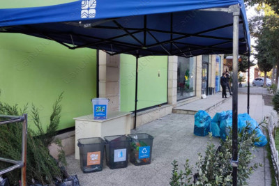 Masallıda “Bir ağac - min nəfəs” adlı aksiya keçirilib