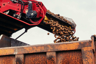 Cəlilabad rayon sakini 1 milyon manata yaxın dələduzluq edib