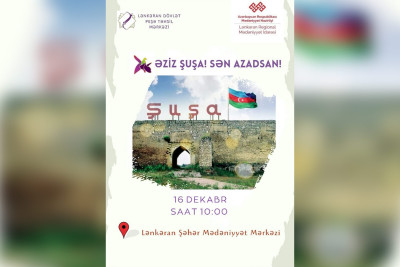 Peşə liseyi Lənkəranda tədbir keçirəcək