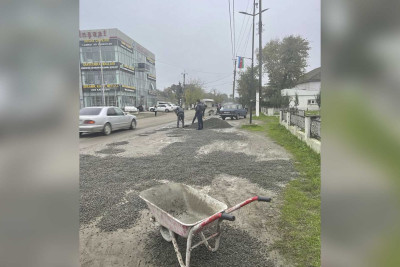 Masallıda xeyriyyəçilər yolları təmir edib