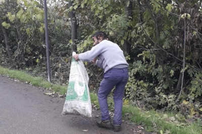 Masallı rayonunda iməcilik işləri görülüb