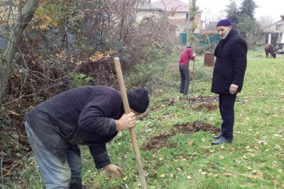 Masallı: bir sıra kəndlərdə ağac əkilib