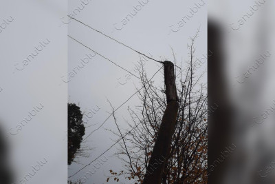 Astara: Kijəbə qəsəbəsinin elektrik sistemi təhlükə saçır