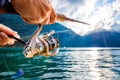 Astarada qanunsuz balıq ovlayan şəxslər saxlanılıblar