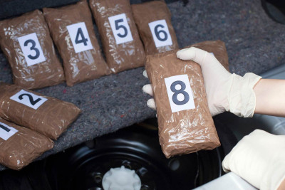 Masallı rayon sakinindən 12 kiloqrama yaxın narkotik aşkar edilib