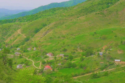 Masallı rayonunun ən hündür zirvəsində salınmış Dəmbəlov kəndi