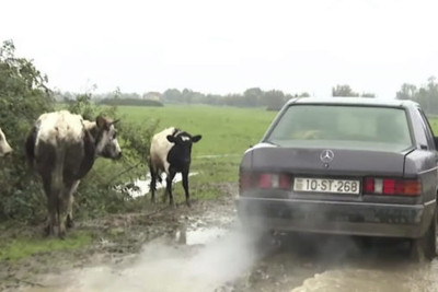Masallıda sakinlər kəndlərinin yollarından narazıdırlar