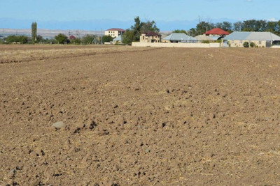 Cəlilabadda pay torpağı üstündə mübahisə düşüb