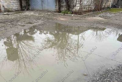 Şəhid Mirxəyal Kərimzadənin adını daşıyan küçə baxımsız vəziyyətdədir