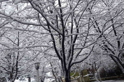 Lənkərana ilk qar yağıb