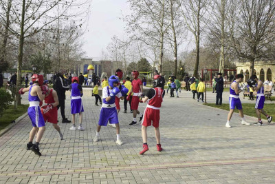 Masallıda “Gənclər həftəsi” çərçivəsində idman festivalı baş tutub