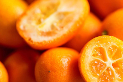 15-dən çox xəstəliyin müalicəsində istifadə olunan kinkanın yığımı bitmək üzrədir