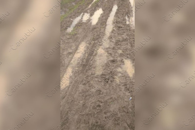 Şagirdlərin məktəbə getmək üçün istifadə etdikləri yol keçilməz vəziyyətdədir