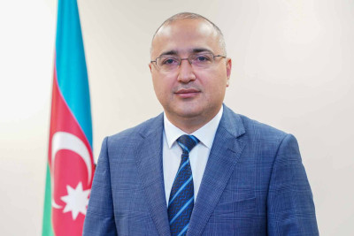 Masallıdan olan Araz Nəsirova TƏBİB-də vəzifə verilib