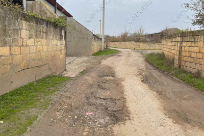 Cəlilabad rayonunun Alar kəndinin yolları sakinləri narahat edir