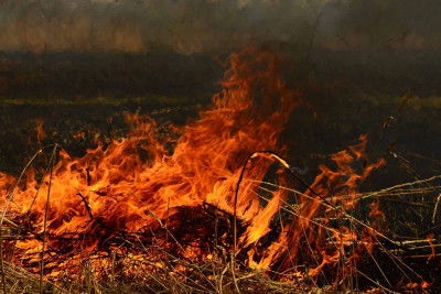 Masallıda fermerin 22 ton ot bağlaması kül olub