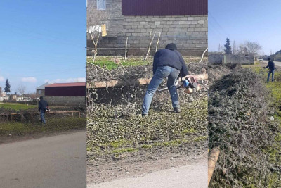 Masallı rayonunda təmizlik işləri görülür