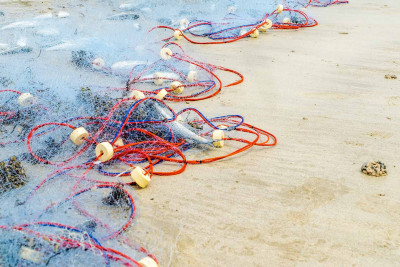 Lənkəran rayon sakini təbiətə min manatdan çox ziyan vurub