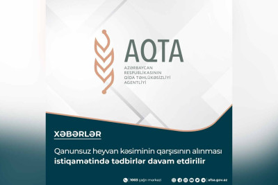AQTA-dan növbəti monitorinq: Masallıda bir sıra obyektlər cərimələnib