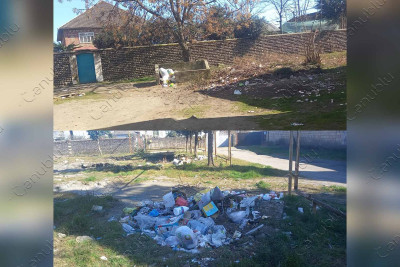 Astarada mərkəzi küçələrə tullantılar atılır