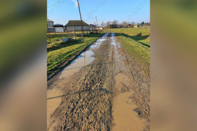 Masallının bu kəndinin sakinləri yol problemi ilə üzləşiblər