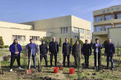 Cəlilabadda ağacəkmə aksiyası keçirilib