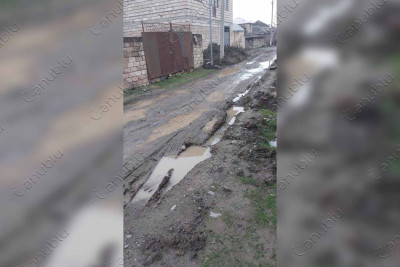 Lənkəran: Talışinski küçəsinin sakinləri Cenublu.az-a müraciət ediblər