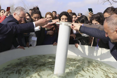 Kiçik Qızılağac körfəzinə balıq körpələri buraxılıb