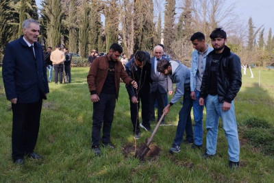 Cəlilabadda ağacəkmə aksiyası keçirilib