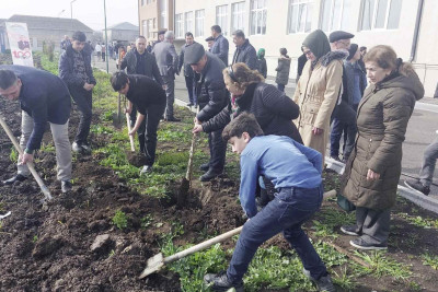 Cəlilabadda ağacəkmə aksiyasına start verilib