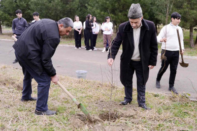 Lənkəranda şagirdlər ağacəkmə aksiyasında iştirak ediblər